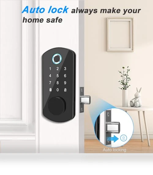 Keyless Entry Door Lock — Locks, Goluckog