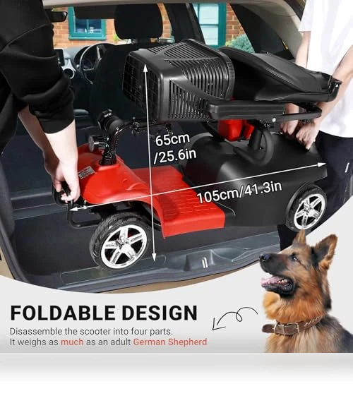 4 Wheels Electric Mobility Scooter — Mobility Scooters, FWFFWF