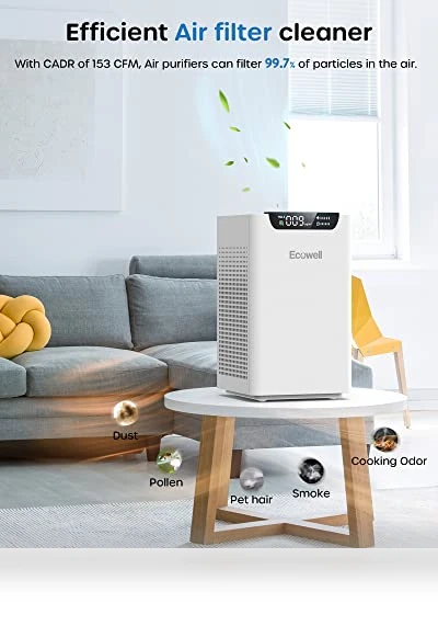 Air Purifier for Home Large Room — Activated Carbon Air Purifiers, ECOWELL