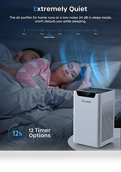 Air Purifier for Home Large Room — Activated Carbon Air Purifiers, ECOWELL