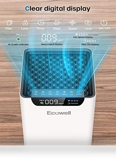 Air Purifier for Home Large Room — Activated Carbon Air Purifiers, ECOWELL