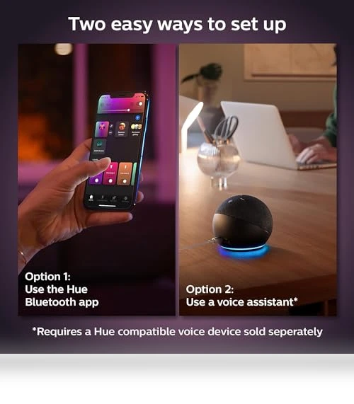 BR30 LED Smart Light Bulbs — Smart Home Modules, Philips Hue
