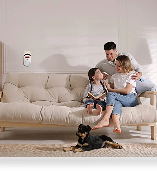 Carbon Monoxide Detectors — Carbon Monoxide Detectors, Hembisen