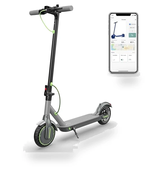 Electric Scooter — Electric Self-Balancing Scooters, Roinside