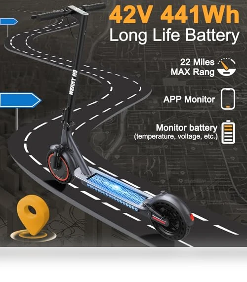 Electric Scooter — Electric Self-Balancing Scooters, WERHY