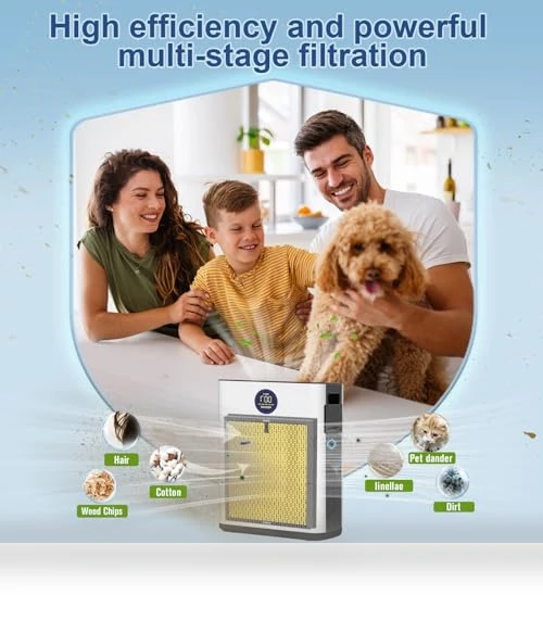 Replacement H14 HEPA Air Filters — Activated Carbon Air Purifiers, DAYETTE