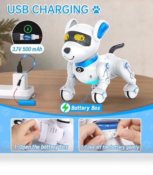 Robot Dog for Kids — Interactive Animal Companions, Dwi Dowellin