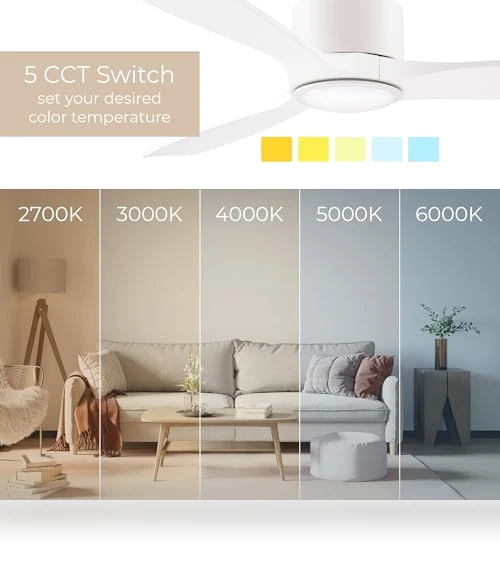Smart 3-Blade Ceiling Fan with LED Light Kit — Ceiling Fan Lighting Solutions, East Grove Home