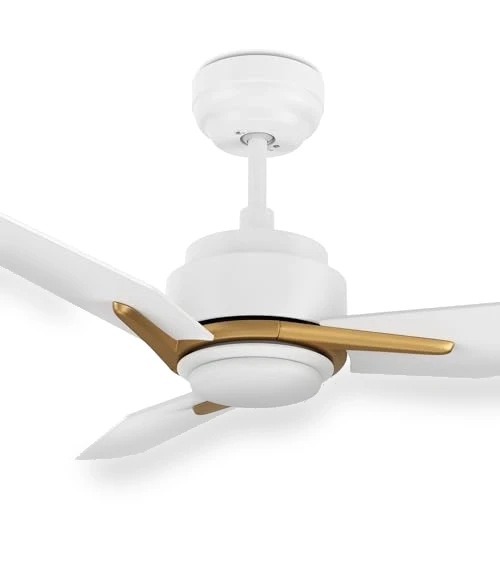 Smart Ceiling Fan with Lights — Ceiling Fan Wall Controls, SMAFAN