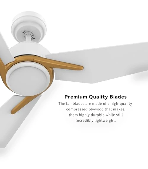 Smart Ceiling Fan with Lights — Ceiling Fan Wall Controls, SMAFAN