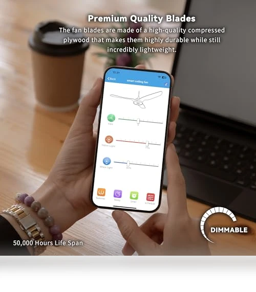 Smart Ceiling Fan with Lights — Ceiling Fan Wall Controls, SMAFAN