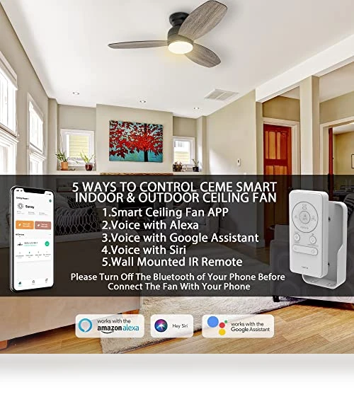 Smart Flush Mount Ceiling Fan with Lights — Ceiling Fan Wall Controls, CEME