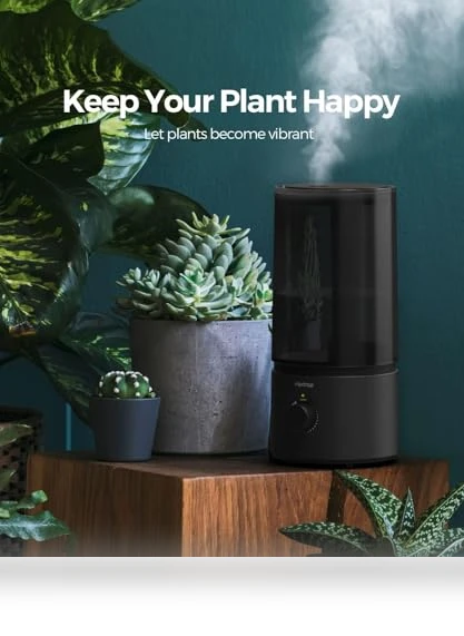 Cool Mist Humidifier — Air Moisturizers, raydrop