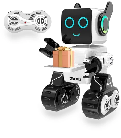 Interactive Intelligent LED Light RC Robot Toy — Interactive Figures & Robots, HBUDS