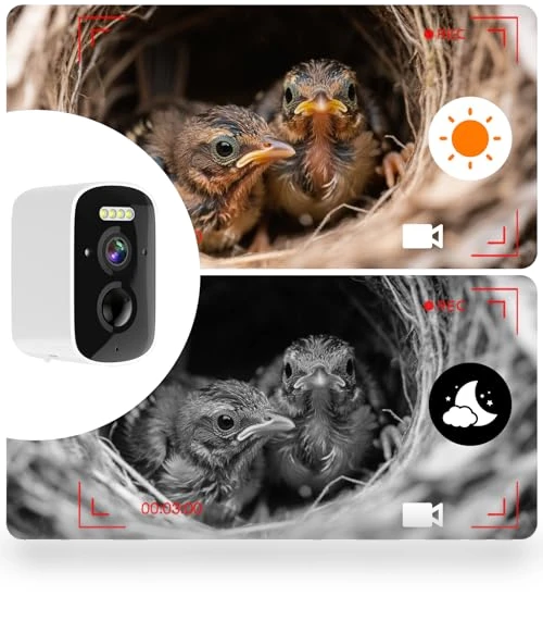 Smart Bird House with Camera — Outdoor & Wildlife Cameras, Hiyiton
