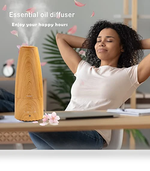 Warm and Cool Mist Ultrasonic Humidifier — Air Moisturizers, Elecameier