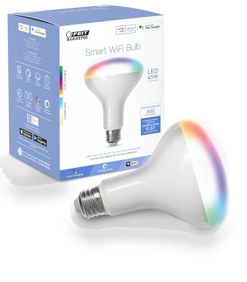 Smart Flood Light Bulb — LED, Feit Electric