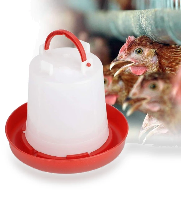 Automatic Chicken Feeder and Waterer — Poultry Hydration Solutions, Japan Zen Mall
