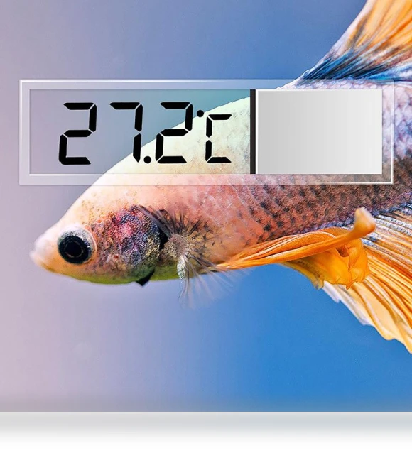 Digital LCD Aquarium Thermometer — Thermometers, Partition Wall