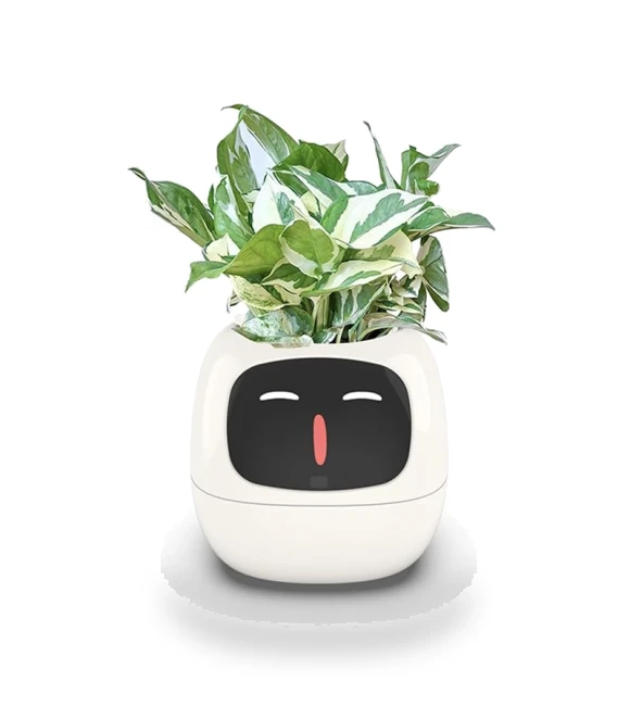 Smart Plant Pot — Artificial Plants, SAKURA BLOSSOM ITEMS