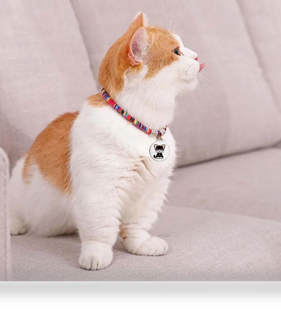 Universal Waterproof Mini GPS Tracker Collar — Item Locators, Good Household Items