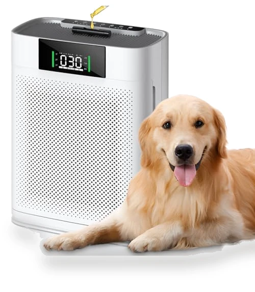 Air Purifier for Large Room — HEPA Air Purifiers, Honeyuan