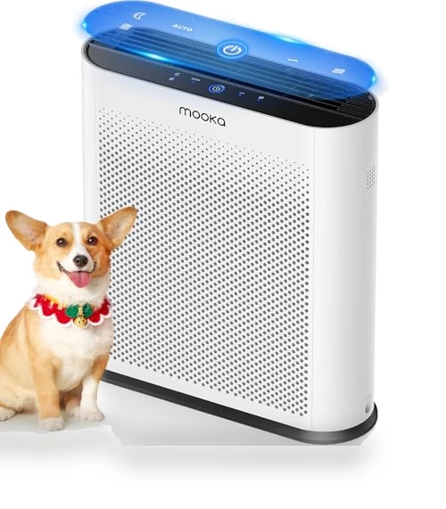 H13 HEPA Air Purifier — Activated Carbon Air Purifiers, Mooka