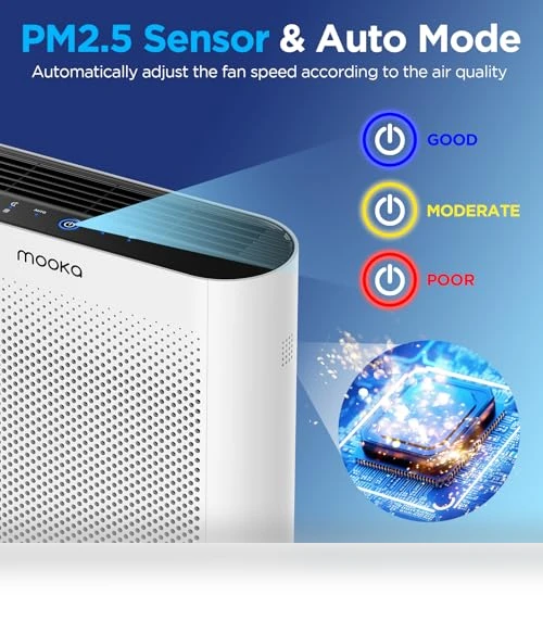 H13 HEPA Air Purifier — Activated Carbon Air Purifiers, Mooka