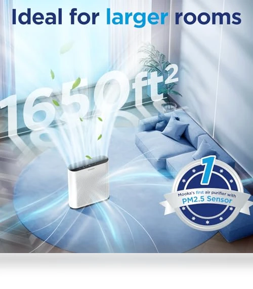 H13 HEPA Air Purifier — Activated Carbon Air Purifiers, Mooka