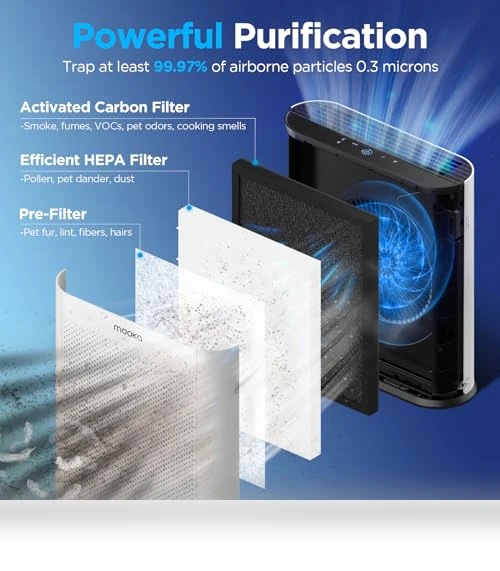 H13 HEPA Air Purifier — Activated Carbon Air Purifiers, Mooka