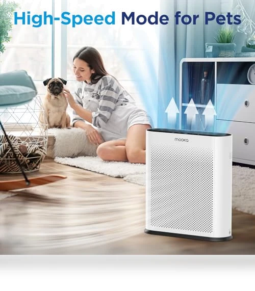 H13 HEPA Air Purifier — Activated Carbon Air Purifiers, Mooka
