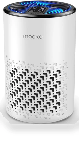 HEPA Air Purifier with Fragrance Sponge — Activated Carbon Air Purifiers, Mooka