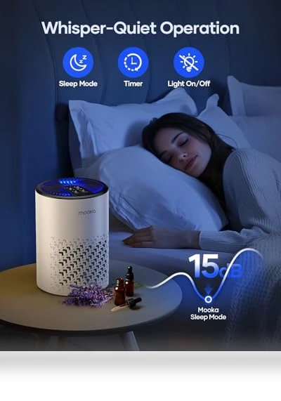 HEPA Air Purifier with Fragrance Sponge — Activated Carbon Air Purifiers, Mooka
