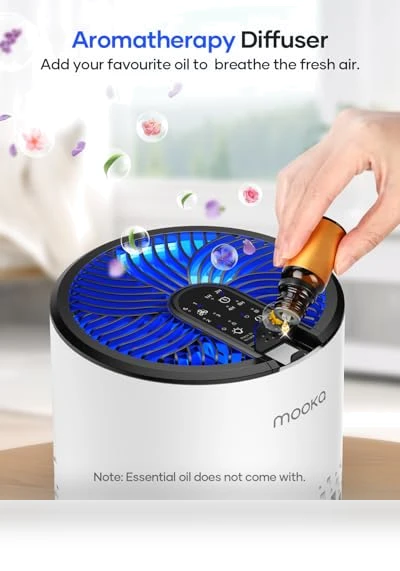 HEPA Air Purifier with Fragrance Sponge — Activated Carbon Air Purifiers, Mooka