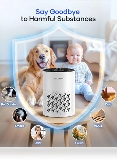 HEPA Air Purifier with Fragrance Sponge — Activated Carbon Air Purifiers, Mooka