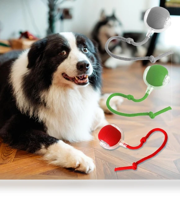 Interactive Pet Toy Ball — Cat Playthings, kaixindianpu