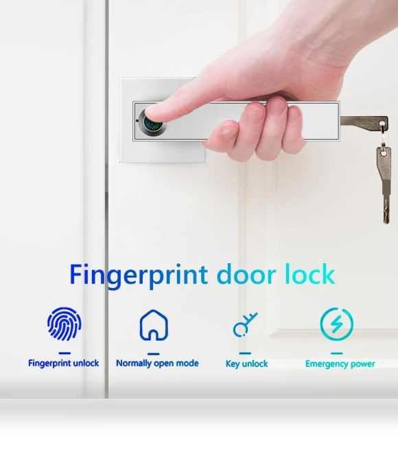 Smart Biometric Electronic Lock — Biometric Security, Good Household Items