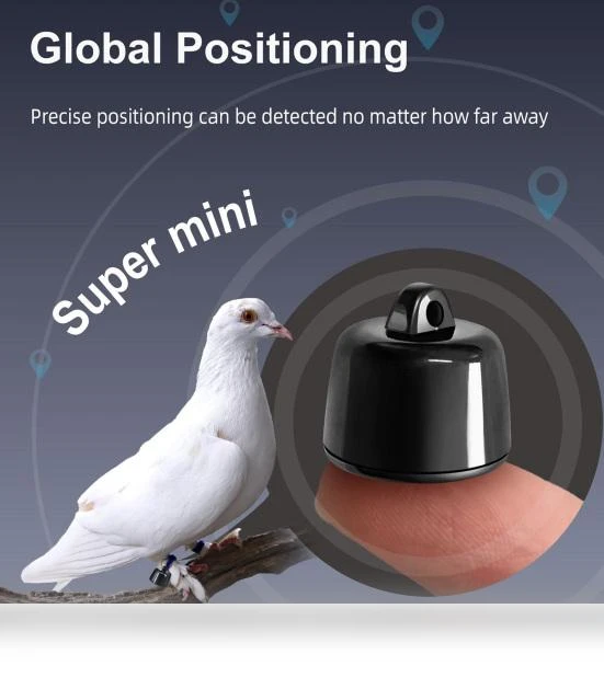 Smart Pet Collar — Trackers, Worry free storage