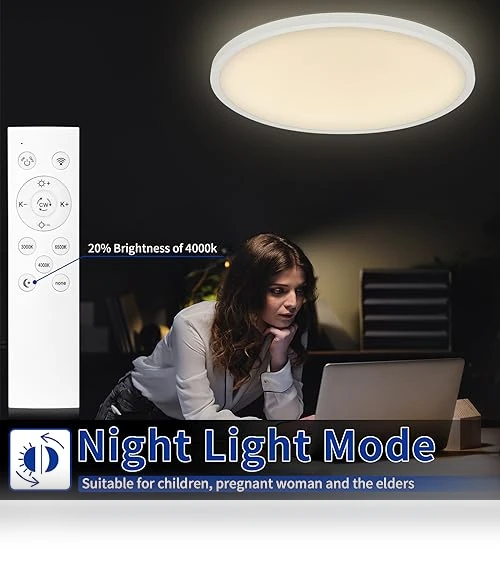 20'' LED Ceiling Light Fixture — Overhead Lighting, Glowall
