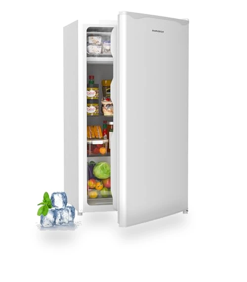 Mini Fridge with Freezer — Mini Fridges, BANGSON