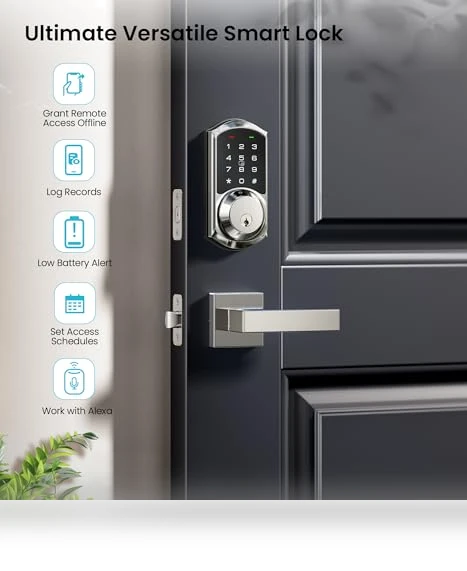 Smart Locks with 2 Lever Handle Set — Smart Home Security, Veise