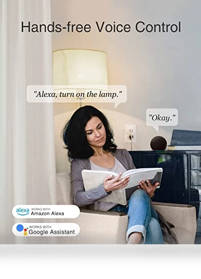 Smart Mini Plug — Smart Home Hubs & Controllers, GHome Smart