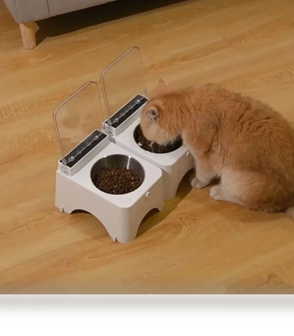 Automatic Cat Food Dispenser — Feeders, Jinkuinduy