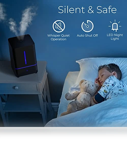 Cool Mist Humidifier — Air Moisturizers, Everlasting Comfort
