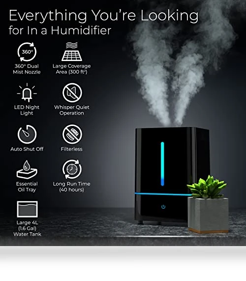 Cool Mist Humidifier — Air Moisturizers, Everlasting Comfort