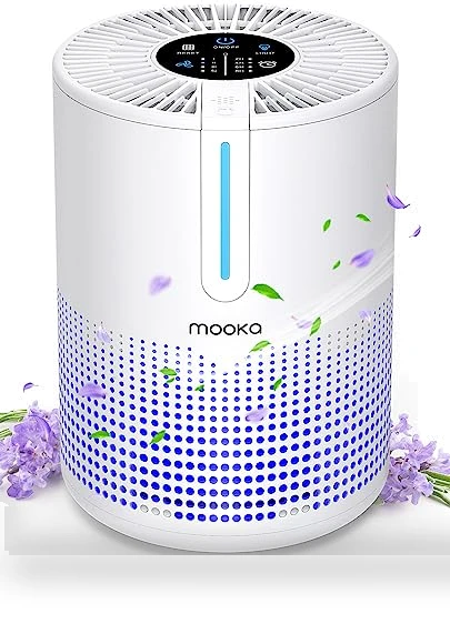 H13 HEPA Air Purifier — Activated Carbon Air Purifiers, Mooka