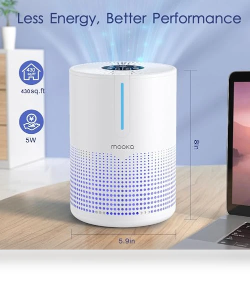 H13 HEPA Air Purifier — Activated Carbon Air Purifiers, Mooka