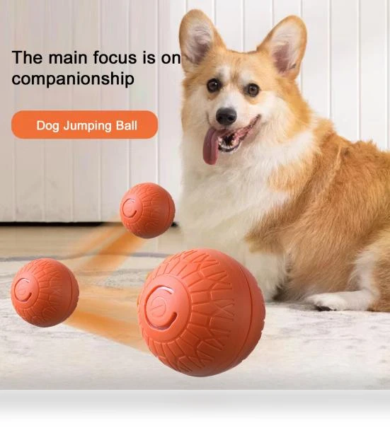 Interactive Smart Ball for Pets — Interactive Animal Companions, Wangpuya