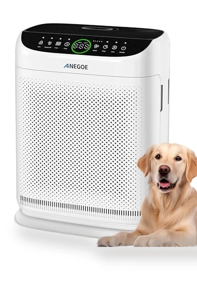 Large Room Air Purifier — Activated Carbon Air Purifiers, AnEgoe