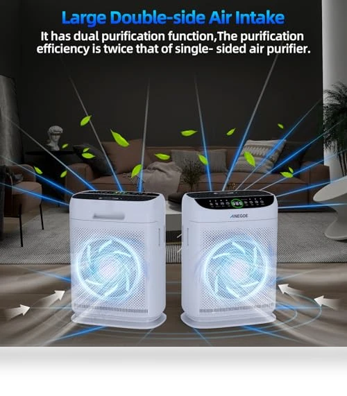 Large Room Air Purifier — Activated Carbon Air Purifiers, AnEgoe